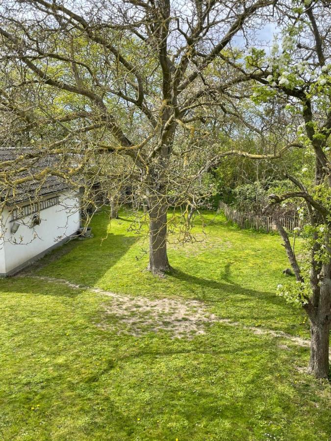 Vila Kleines Haus Am Feld Rehna Exteriér fotografie