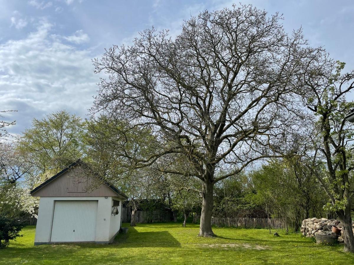 Vila Kleines Haus Am Feld Rehna Exteriér fotografie